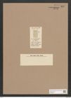 Navicula rhynchocephala var. leptocephala (Rabh.) Brun. (de-Toni-Nr.: Genus 1, Species 107) Zeichnungen Sammlung Grunow Nr. 309 (NHMW-BOT-W0366581)